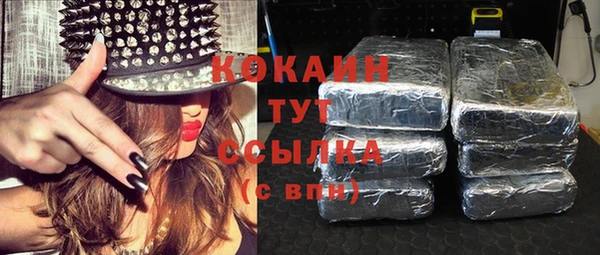 стаф Няндома