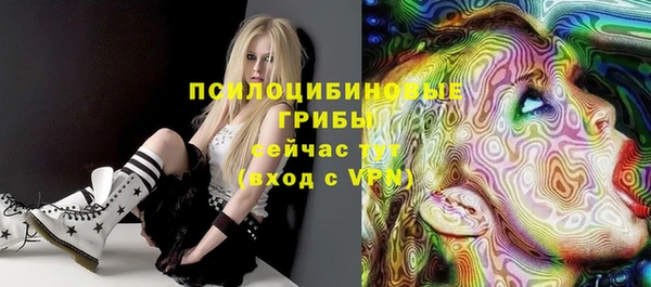 стаф Няндома