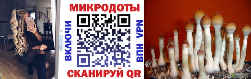 цена   Усть-Катав  Галлюциногенные грибы ЛСД 